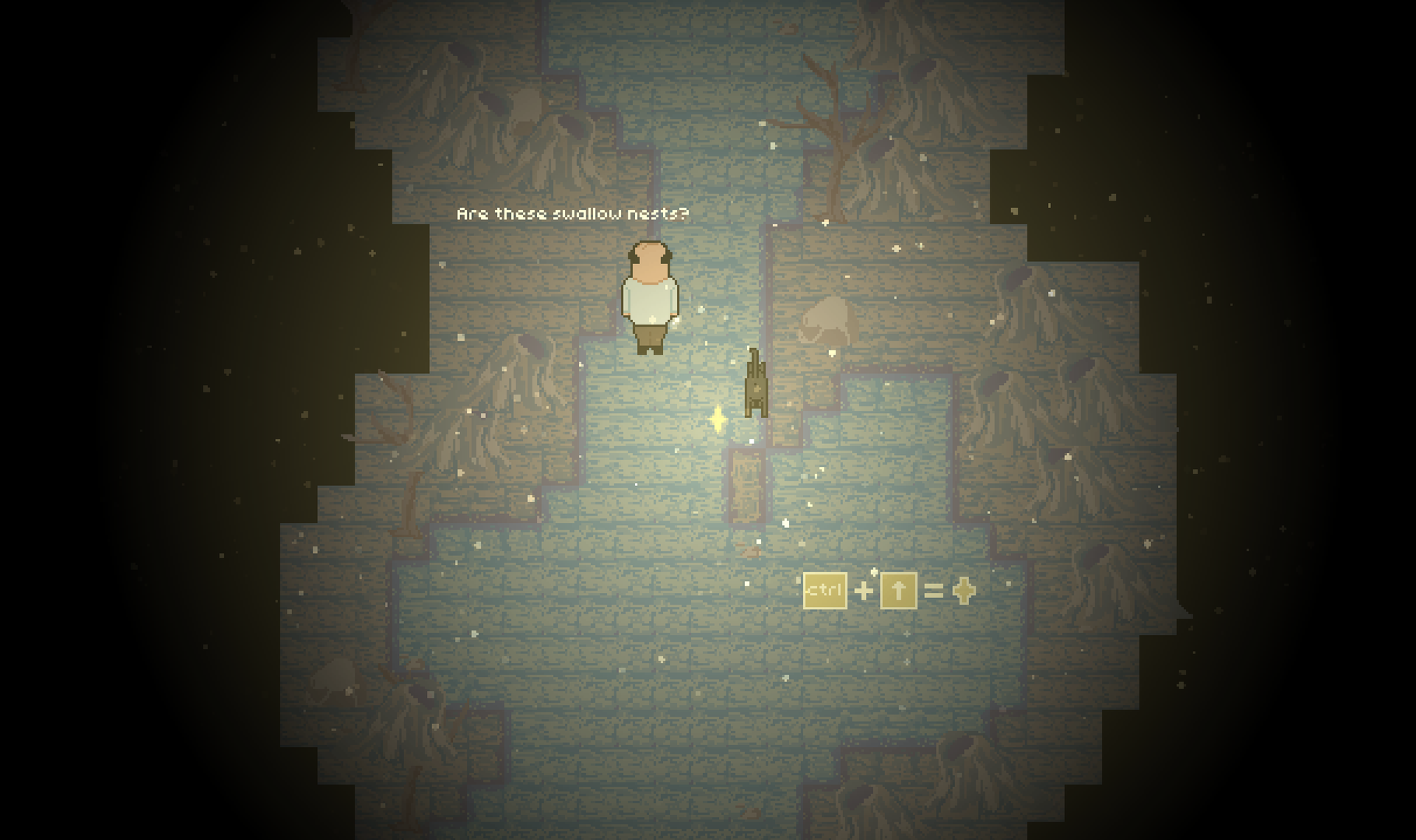 Mr. Dubois exploring a lantern-lit cave with his cat